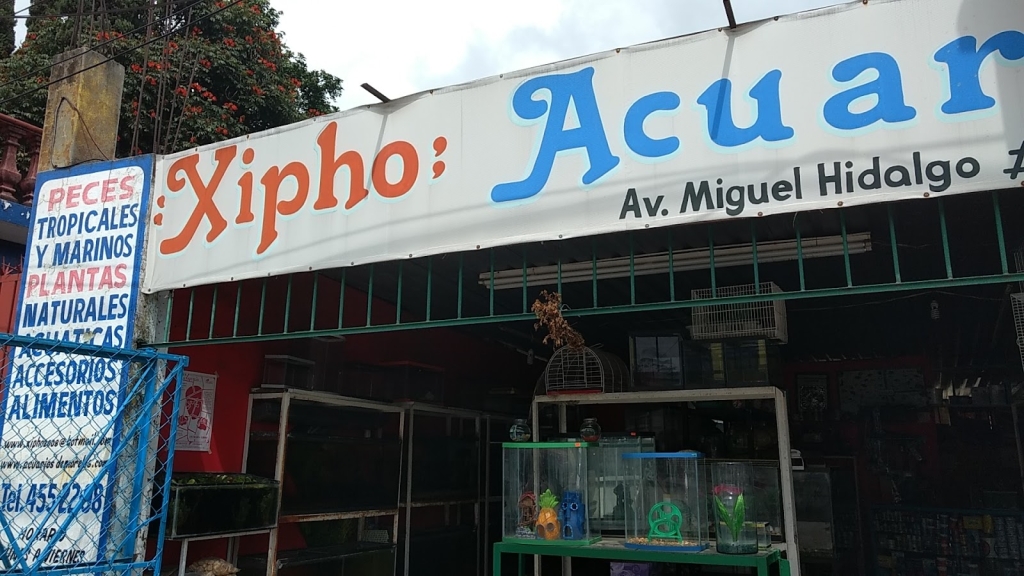 Acuario 'Xipho'