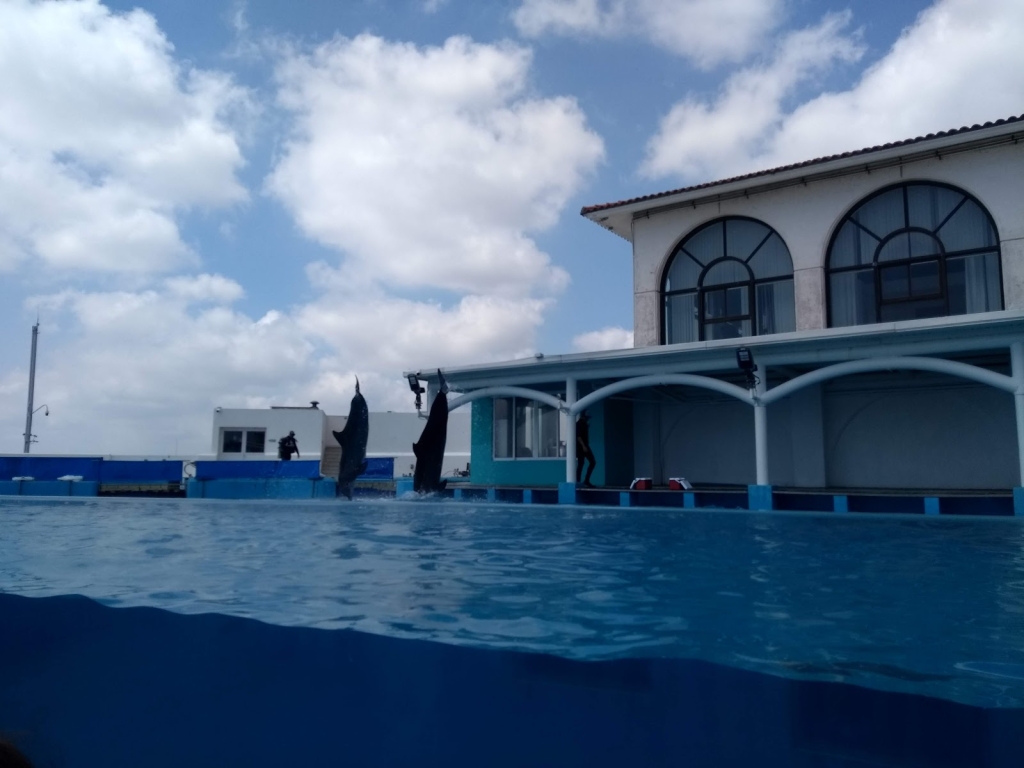 El acuario