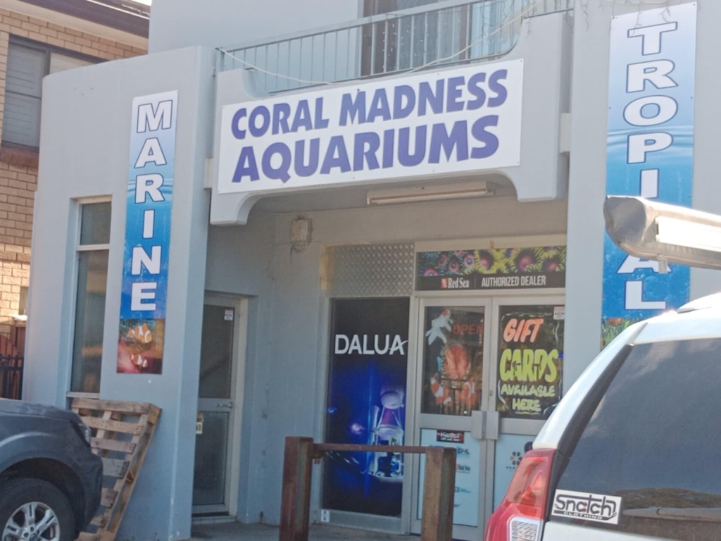 Locura de Coral