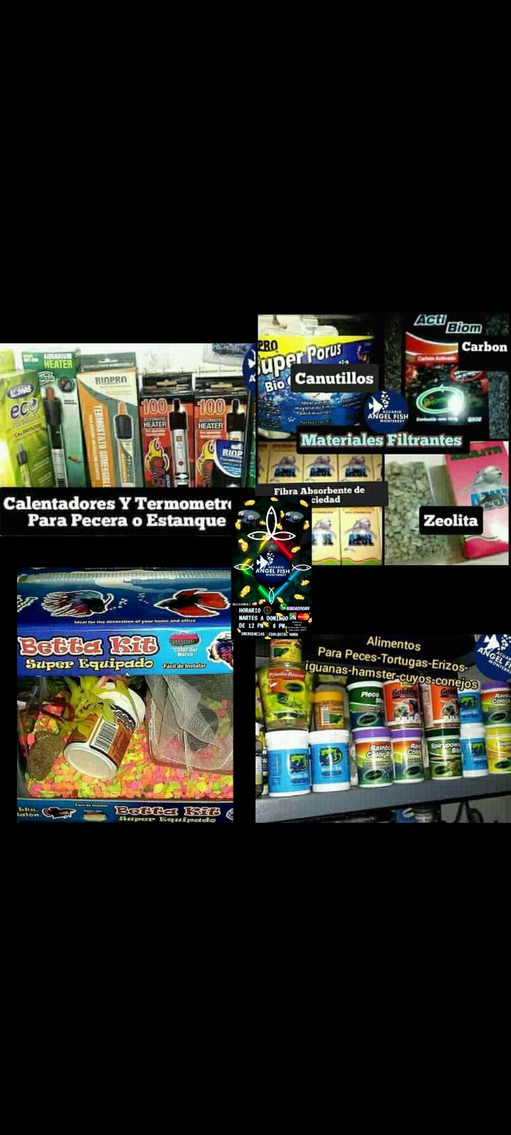 Angel Fish Aquarium Monterrey