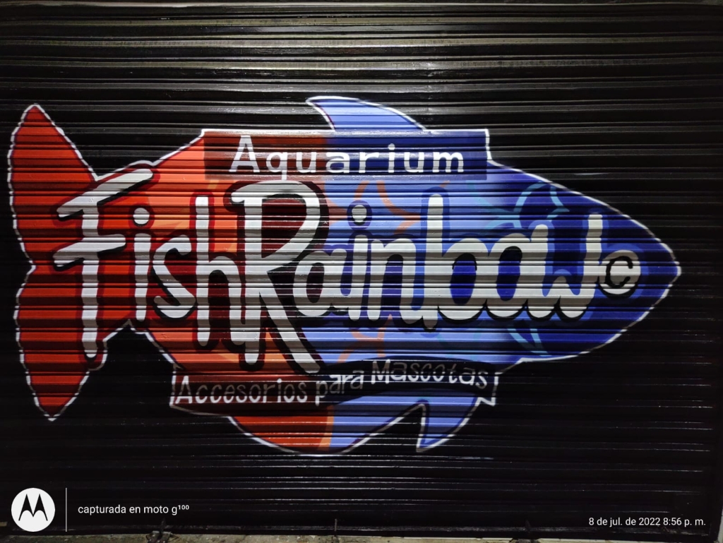 Rainbow Aquarium Fish Zapopan