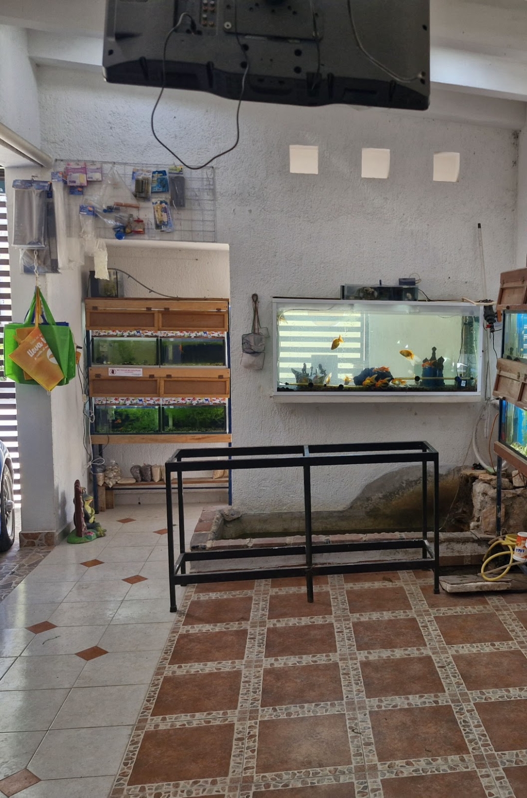 Mr. Blue Fish Aquarium