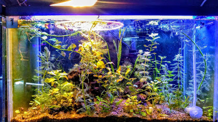 Aquarium and Pets ORIGIN