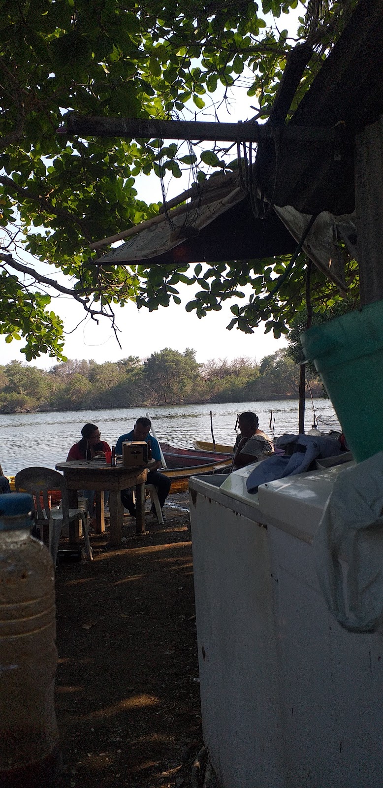 TilaNet - Total Quality in Tilapia Breeding