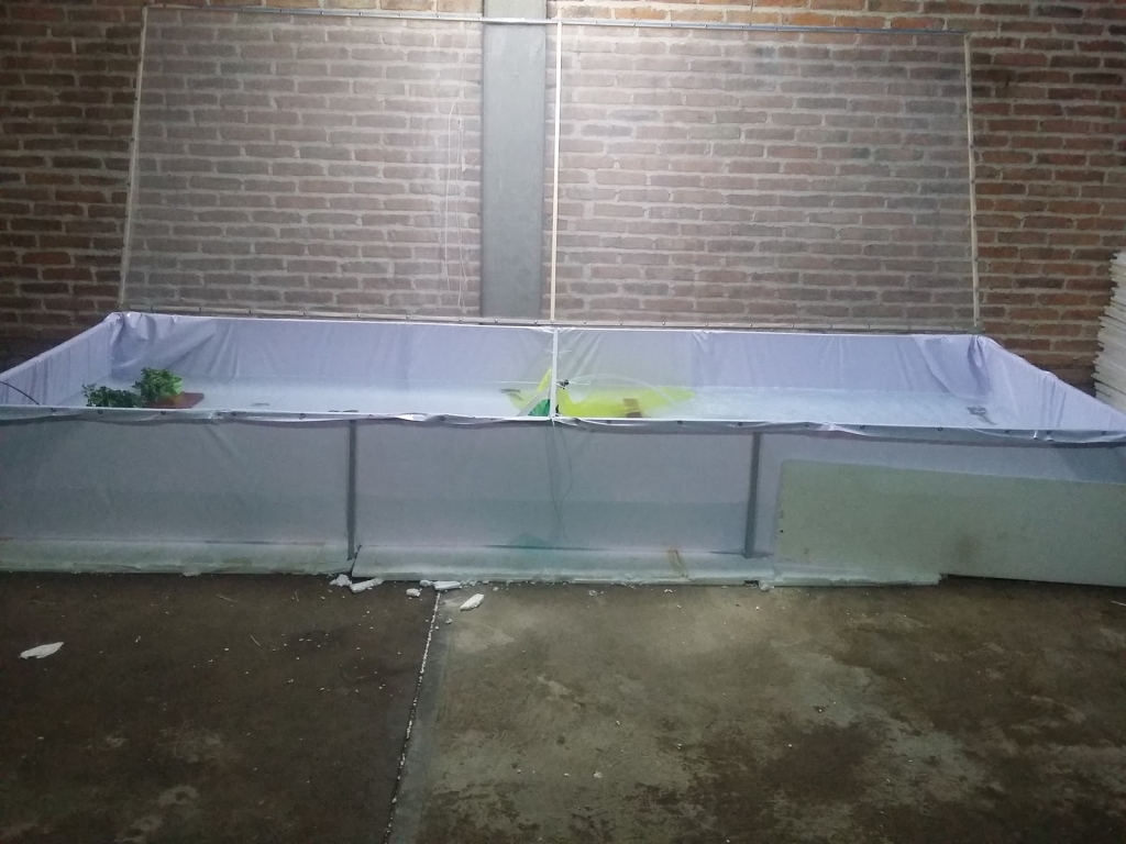 Granja Exotipez Aguascalientes