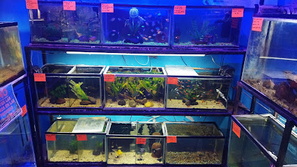 Valley Aquarium