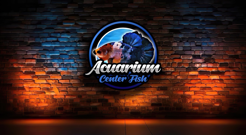 FISH AQUARIUM CENTER