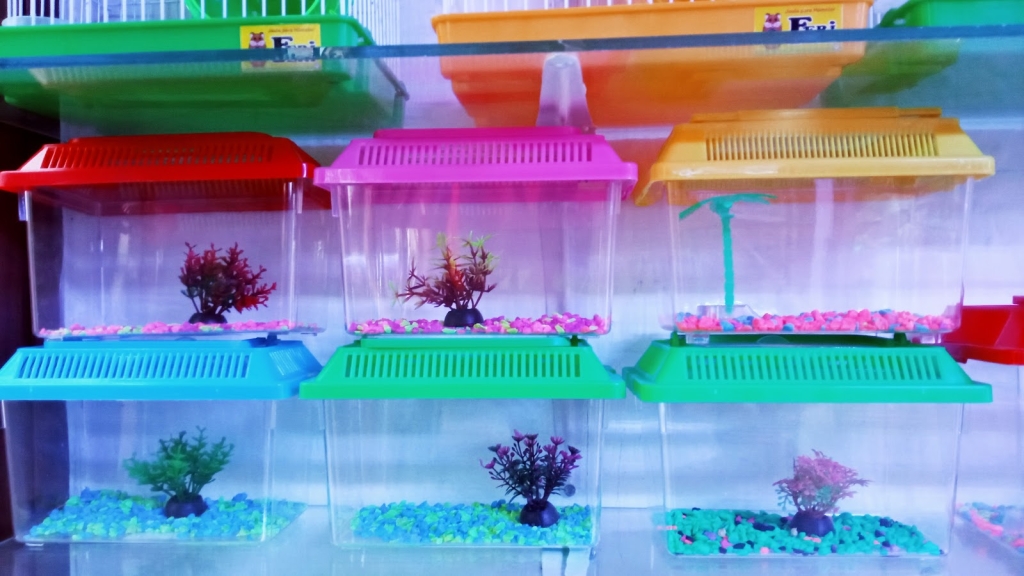 Nemo Jr. Aquarium One