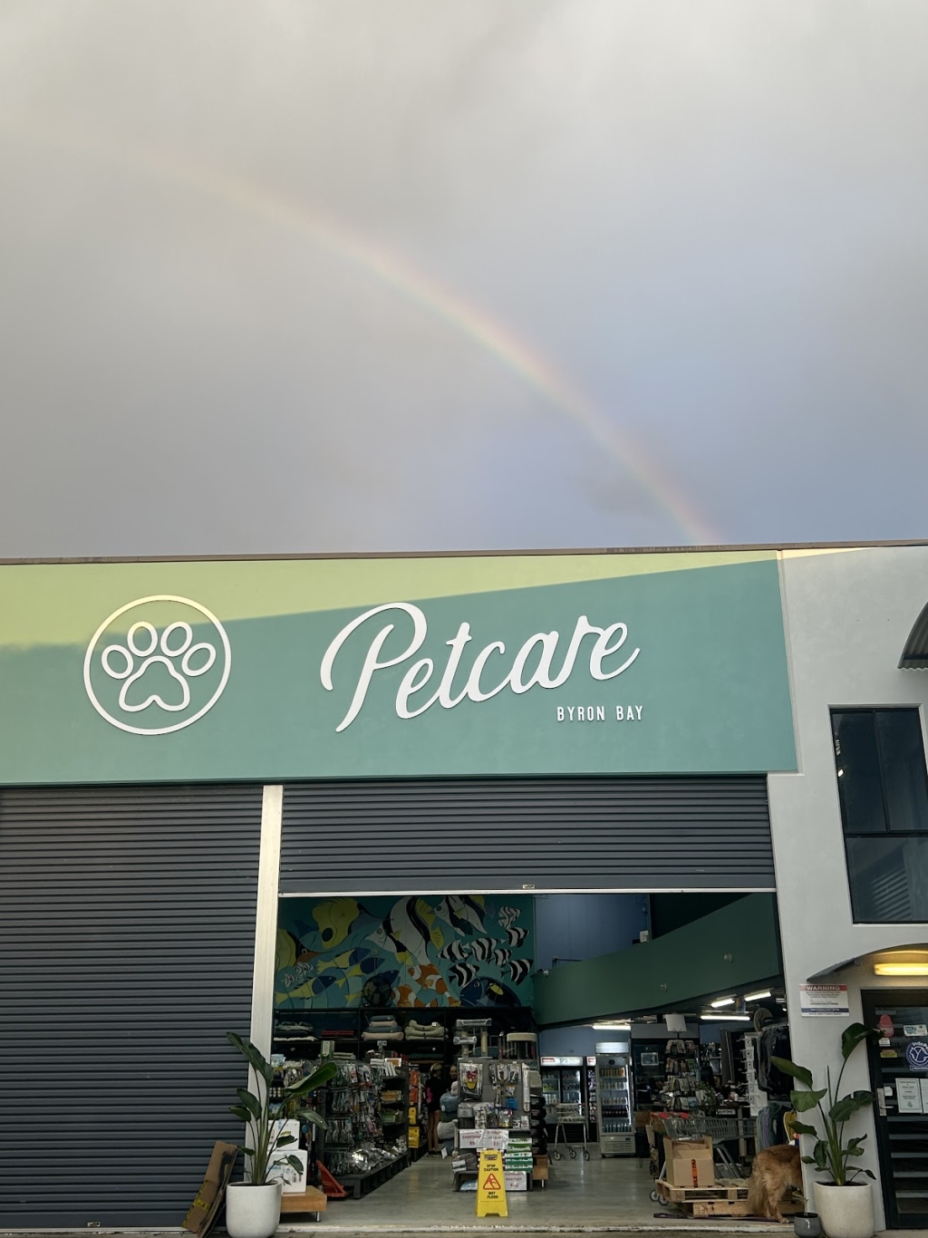 Petcare Byron Bay