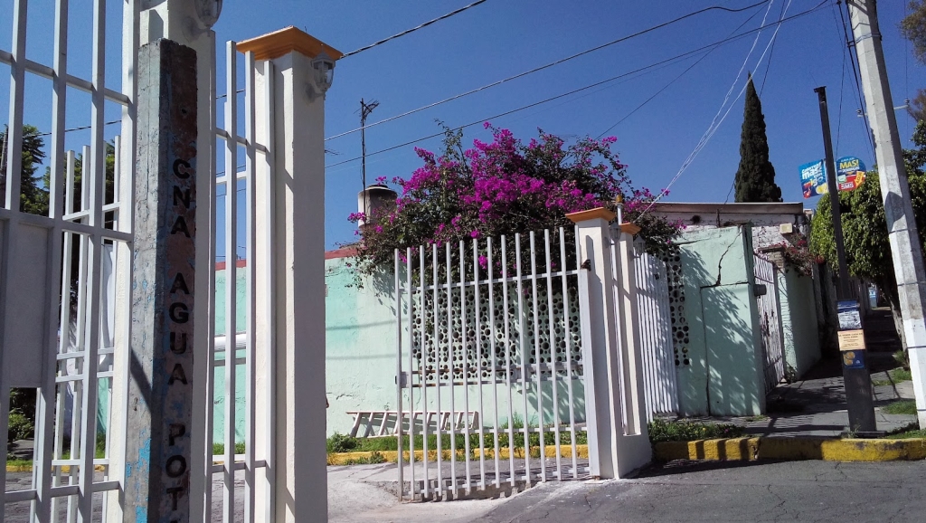 Aquarium and Critters