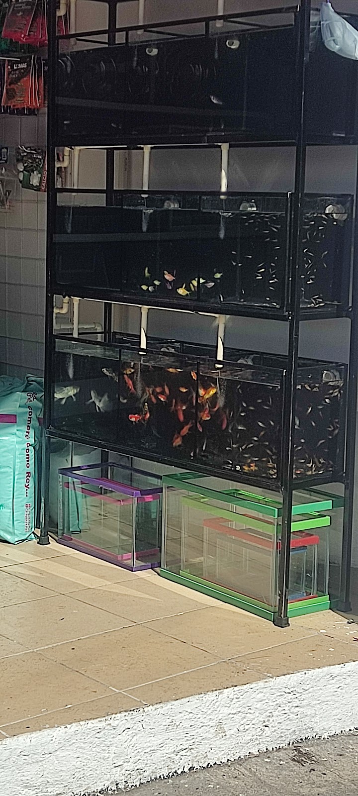 Hakuna Pets Amazonas Aquarium and Pet Store