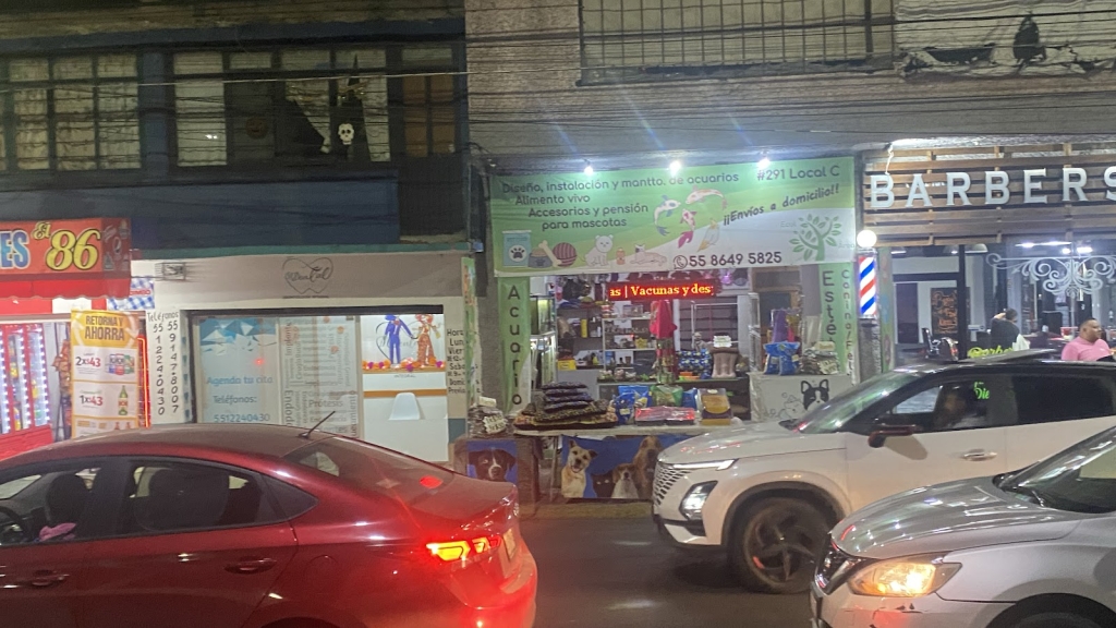 Aquarium and Canine/Feline Aesthetics - Ecolarea