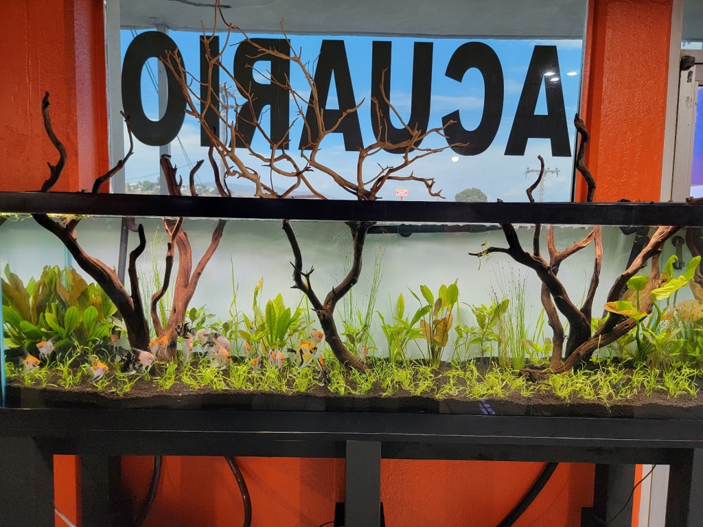 Super Red Land Aquarium