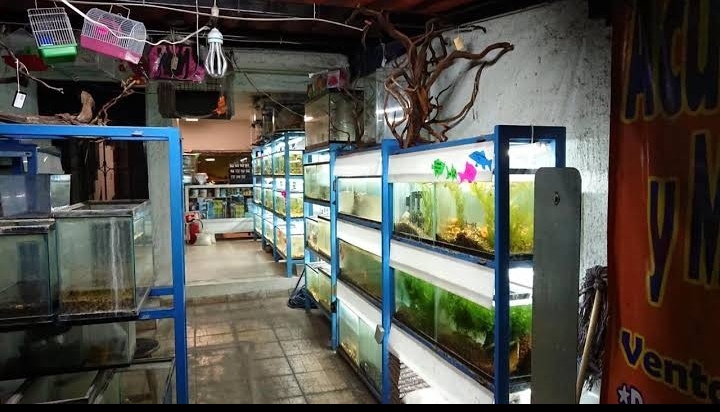 Aquarium and More