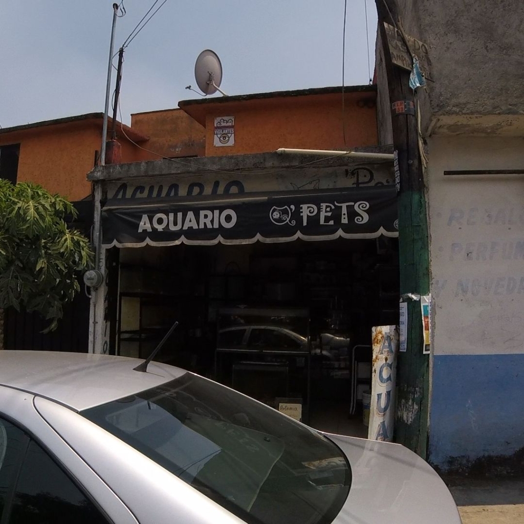 Acuario Q PET'S