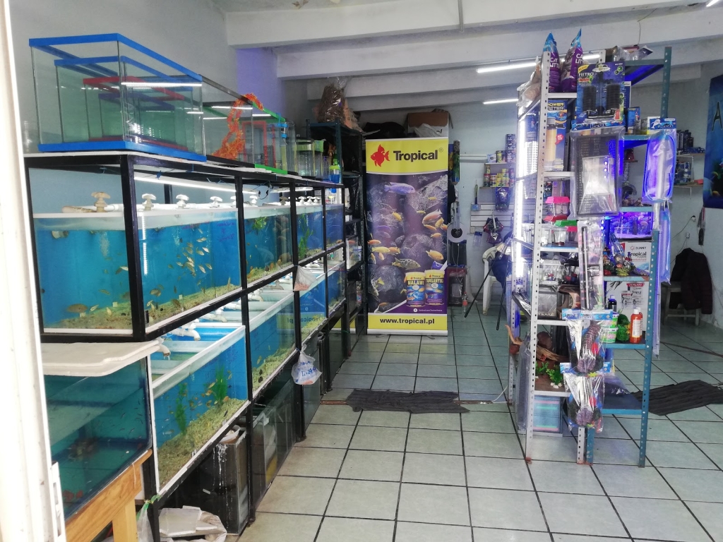 AquaZooe Aquarium Apizaco