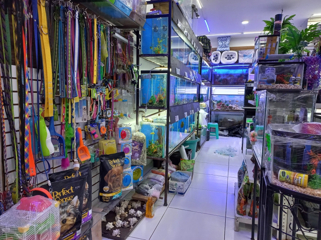 Pet Shop Aquarium