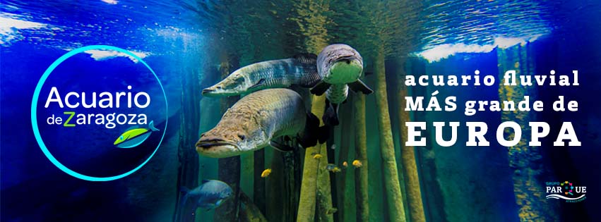Acuario Río de Zaragoza