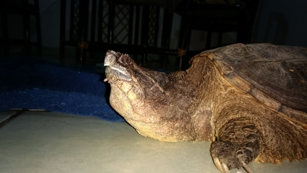 Acuario Acualandia