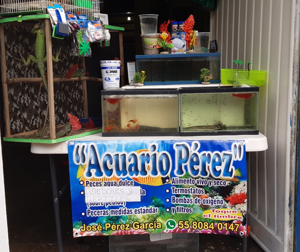 Aquarium 'AcuaBichos Homero'