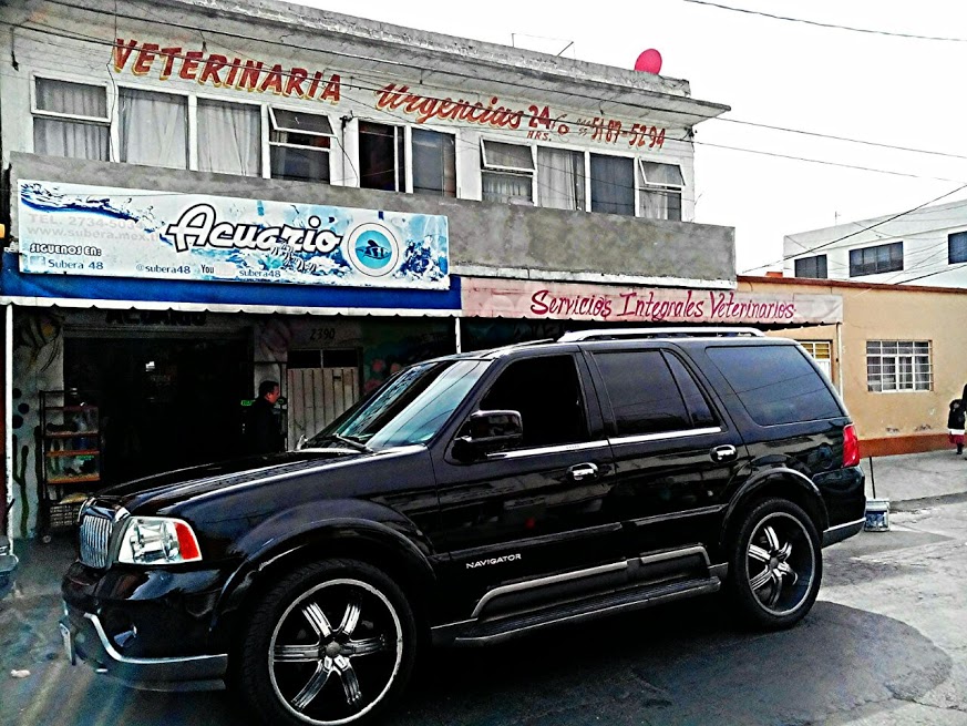 Tropical Fishes and Pet Store