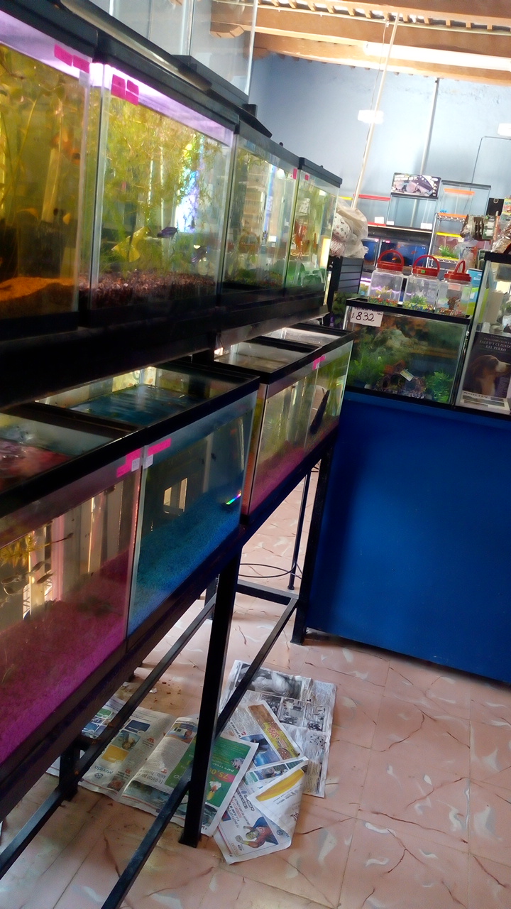 Jorvimar Aquarium