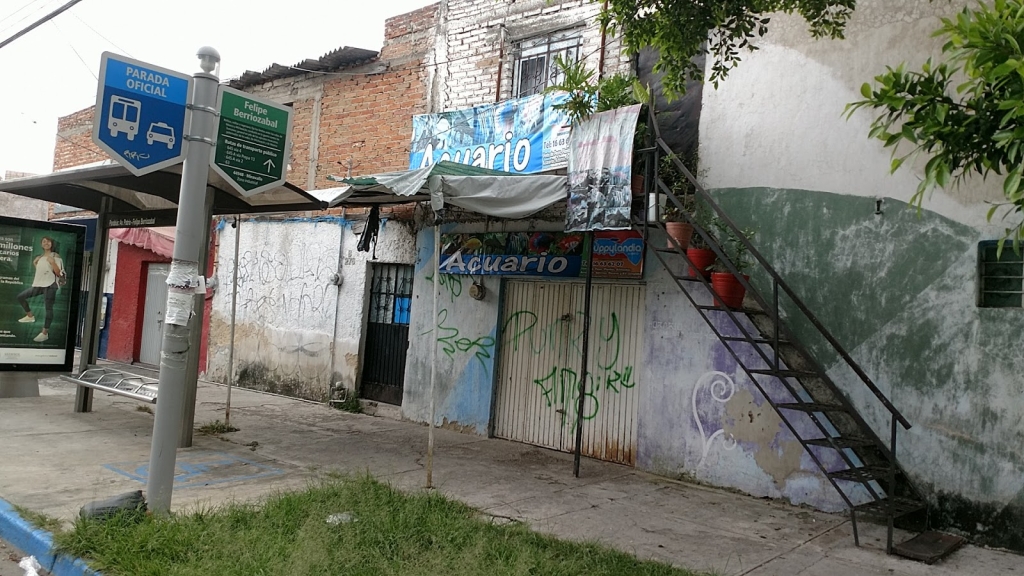 GUPPYLANDIA Aquarium