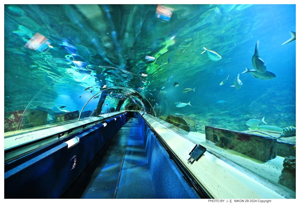 Acuario SEA LIFE Kelly Tarlton