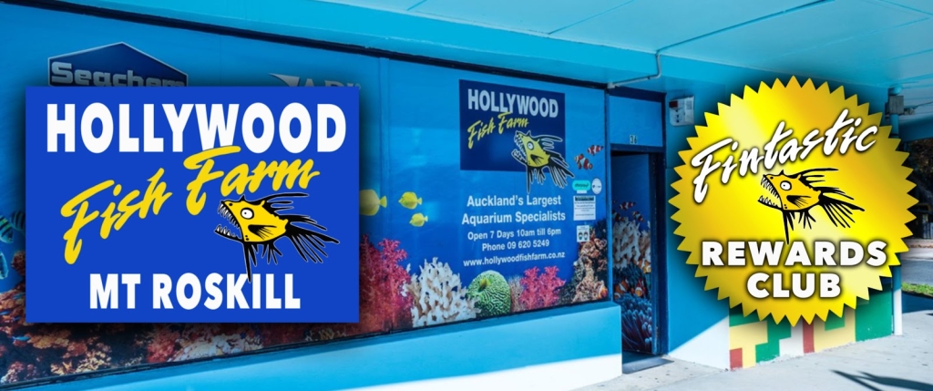Granja de Peces Hollywood Mt Roskill