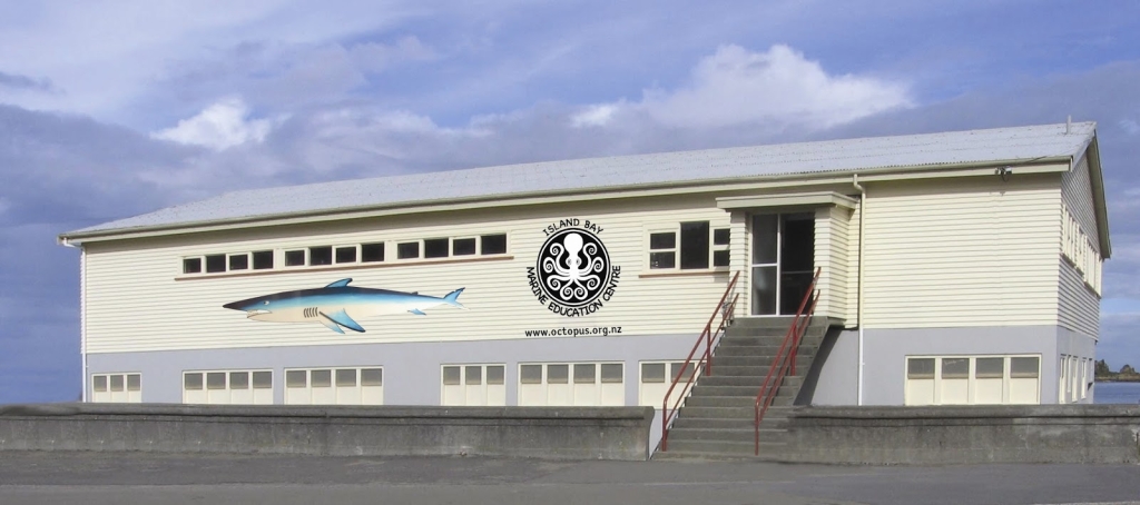 Island Bay Marine Education Centre-Bait House Aquarium