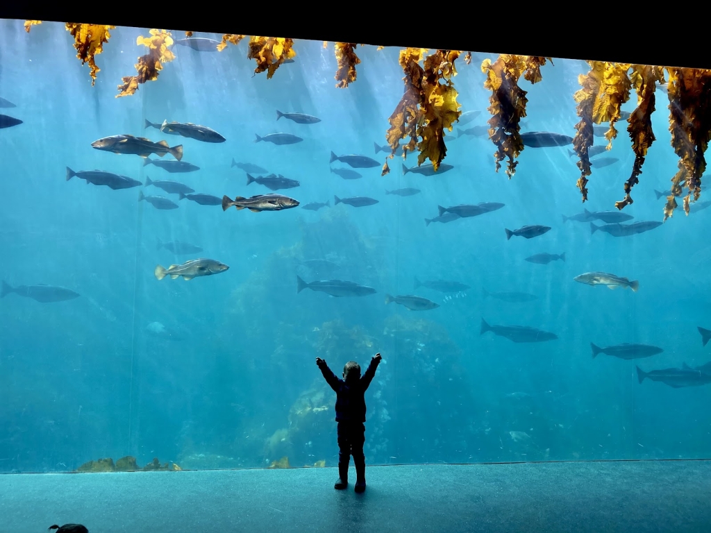 Atlantic Sea-Park
