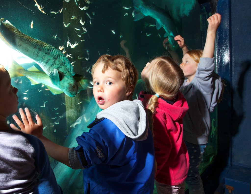 Fundación Acuario de Risør