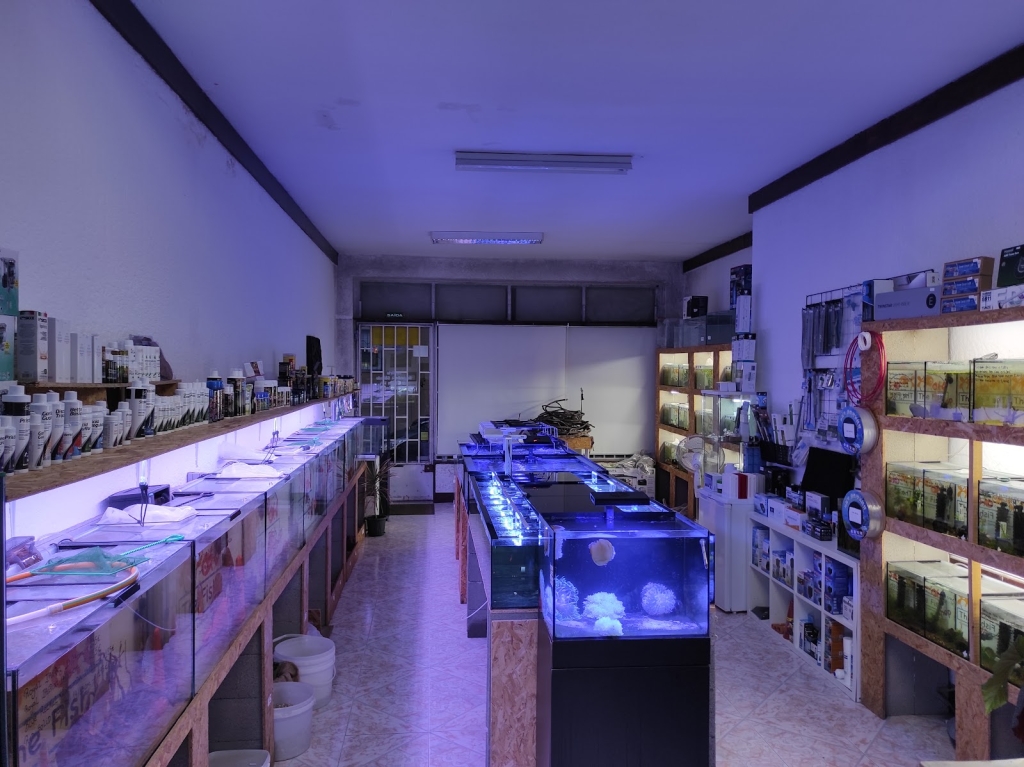 La Tienda de Peces