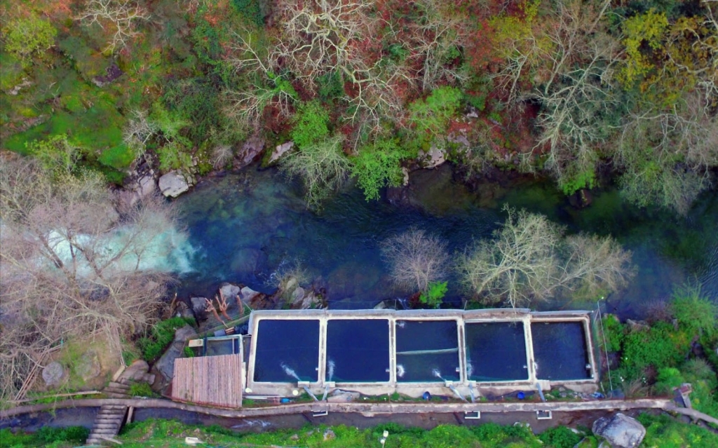 Bestança Trout Farming - Trout Hatchery in Cinfães