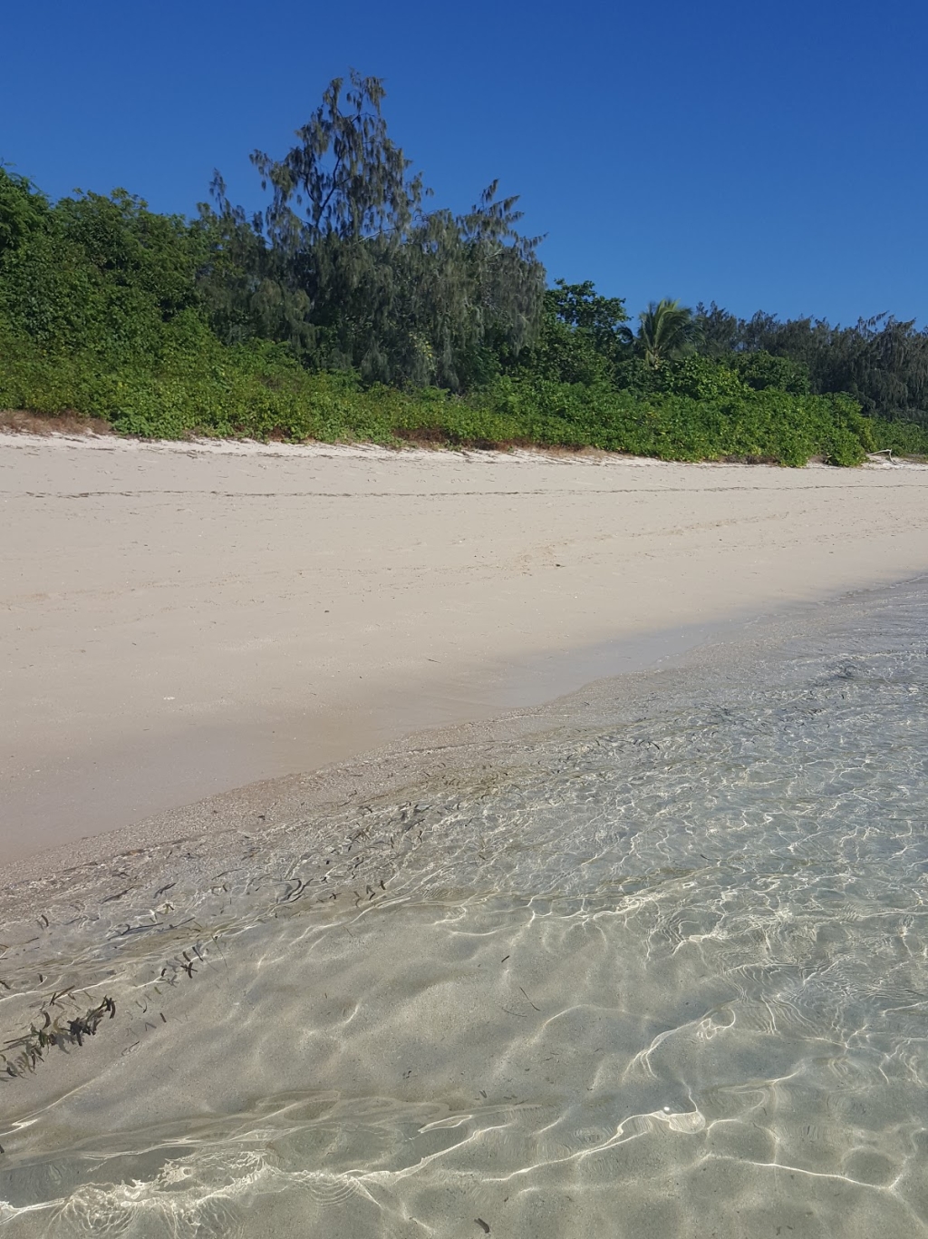 Marineland Croc Park