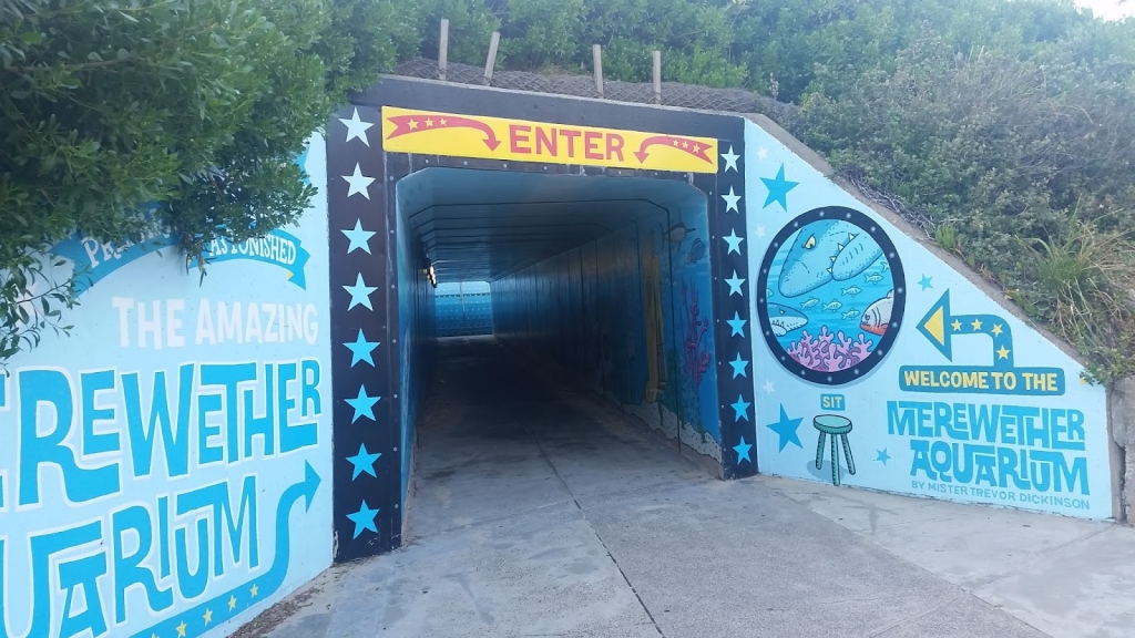 Merewether Aquarium
