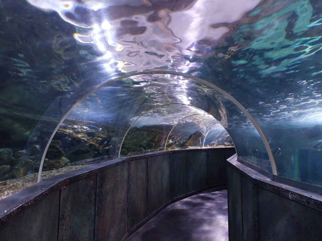 Gran Acuario de Touraine