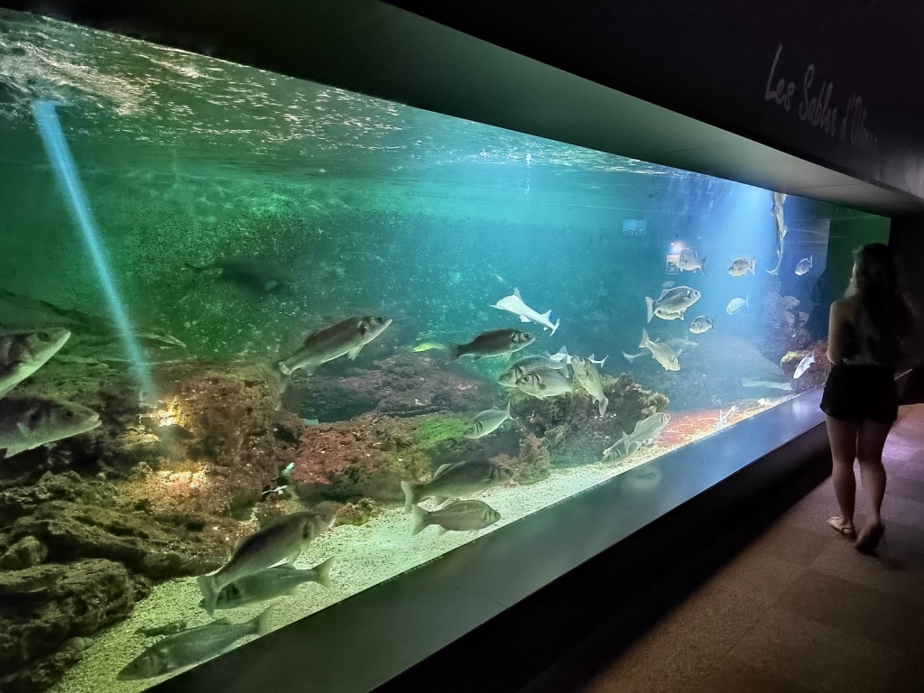 Acuario de Vendée
