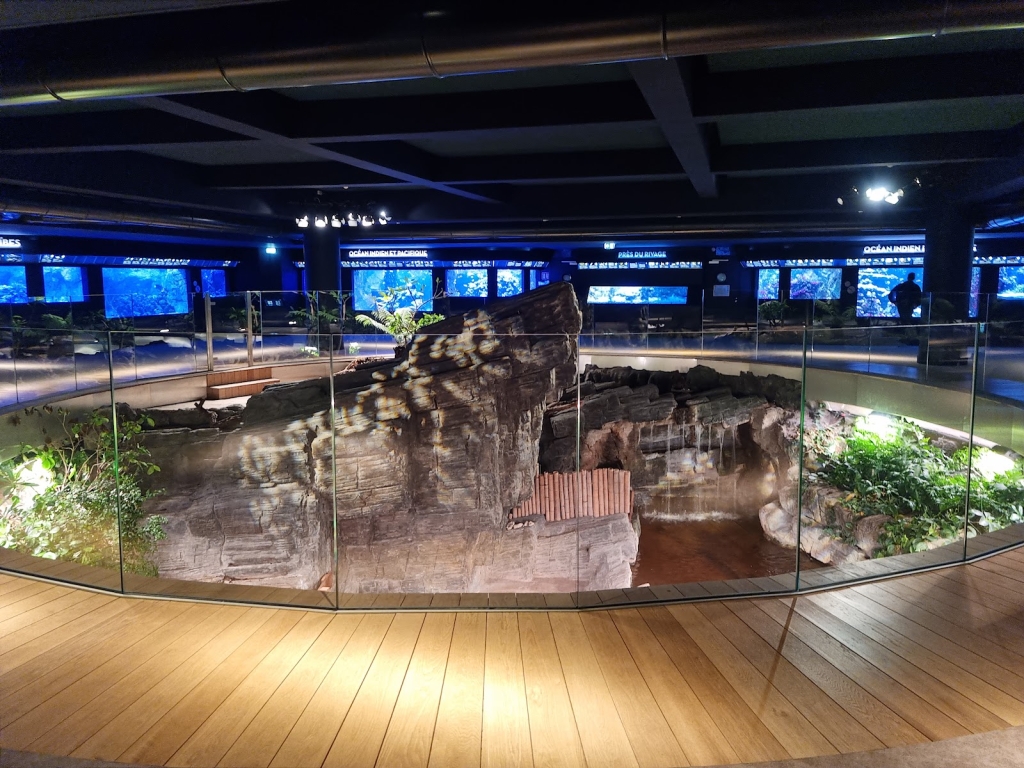 Acuario Tropical