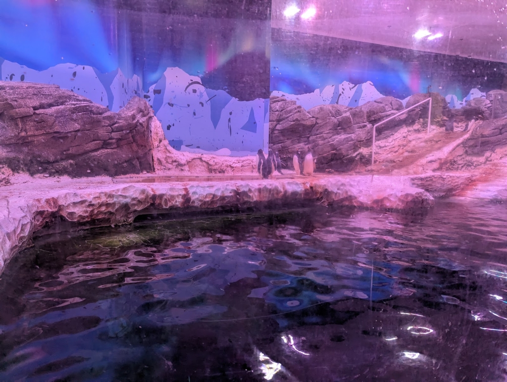 SEA LIFE Val d'Europe