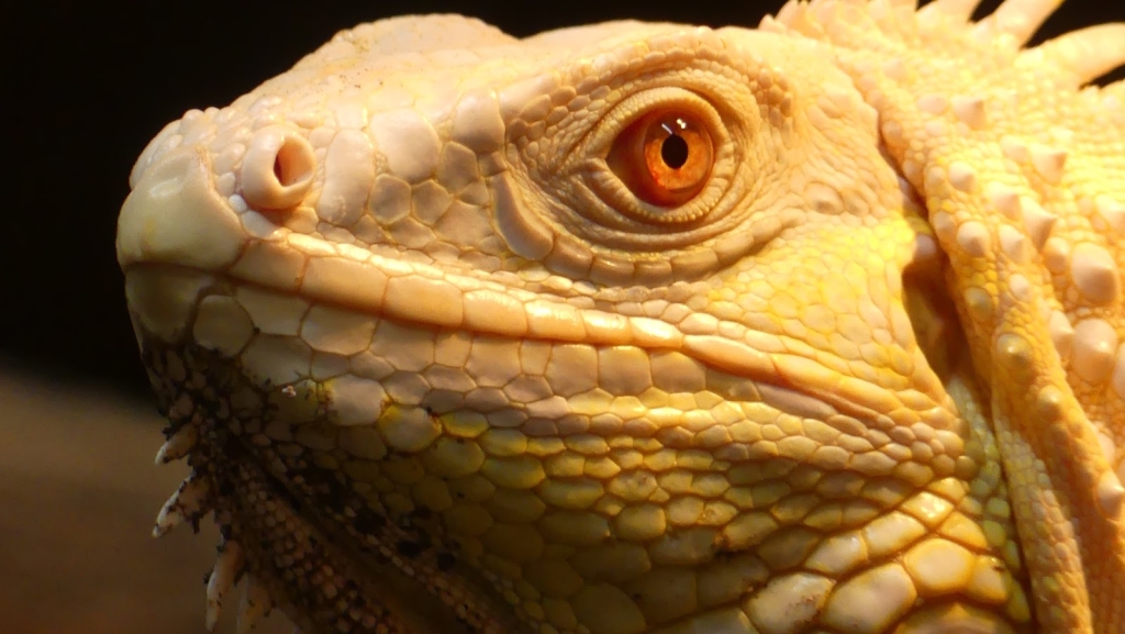 Padiparc - Parque Zoológico