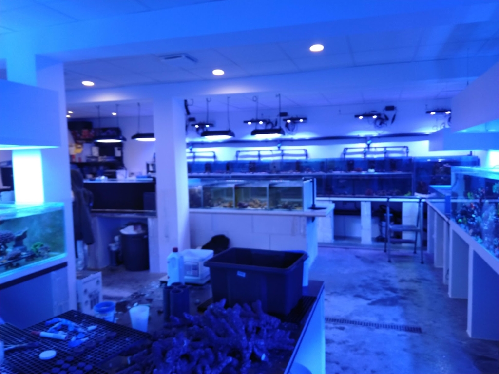 Marinehome