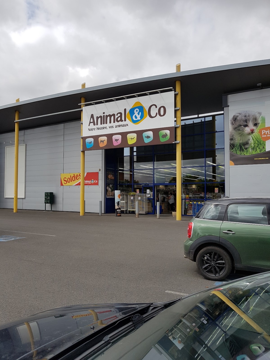 Animal & Co NIORT - tienda de animales