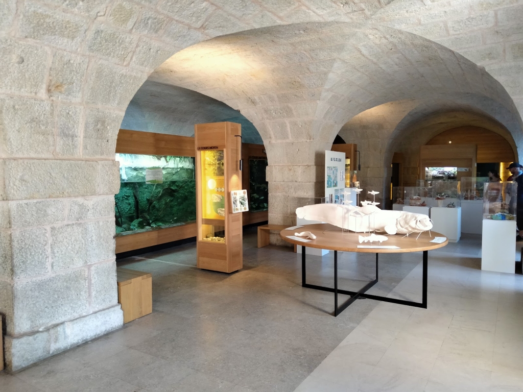 Acuario-Insectario (Muséum de Besançon)
