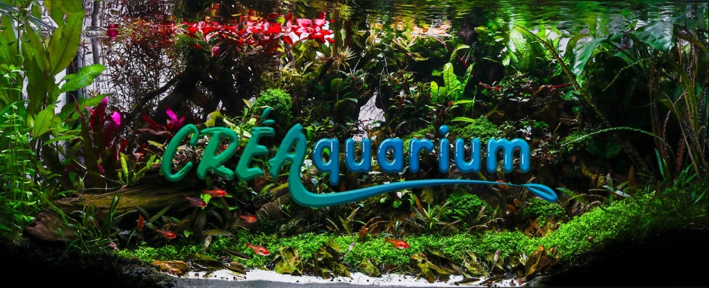 CréAquarium