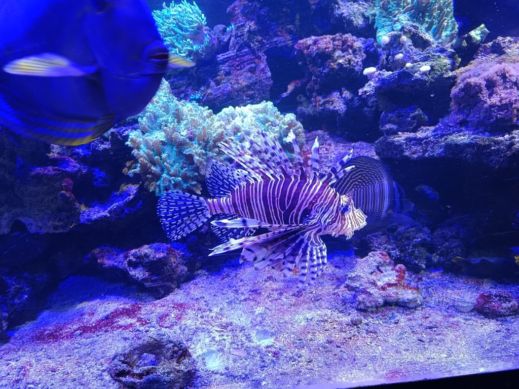 Sainte-Adresse Aquarium Circle