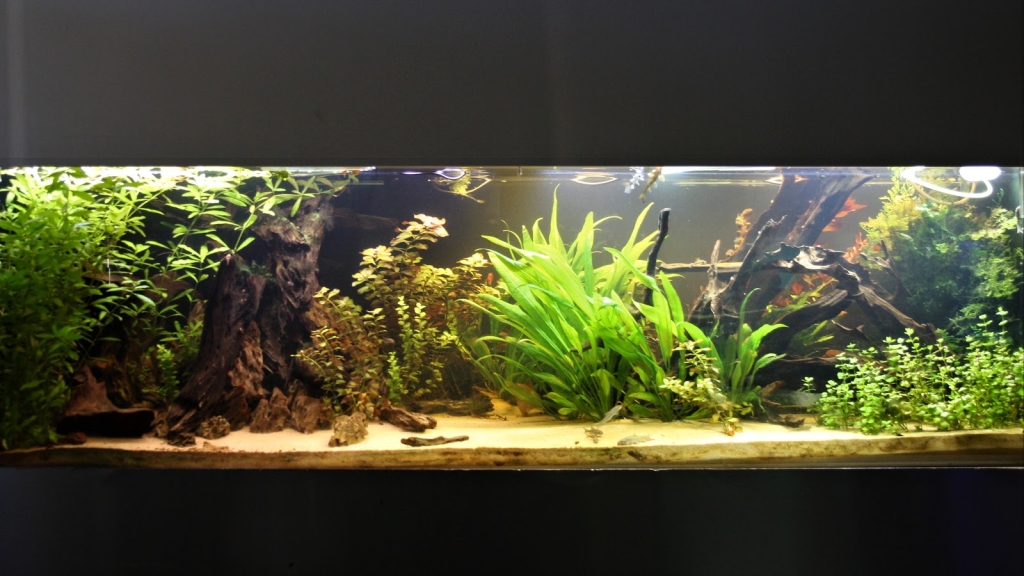 AVOBACS de Argenteuil