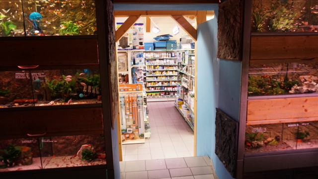 Aqua Zoo Höller Freistadt Tienda de animales