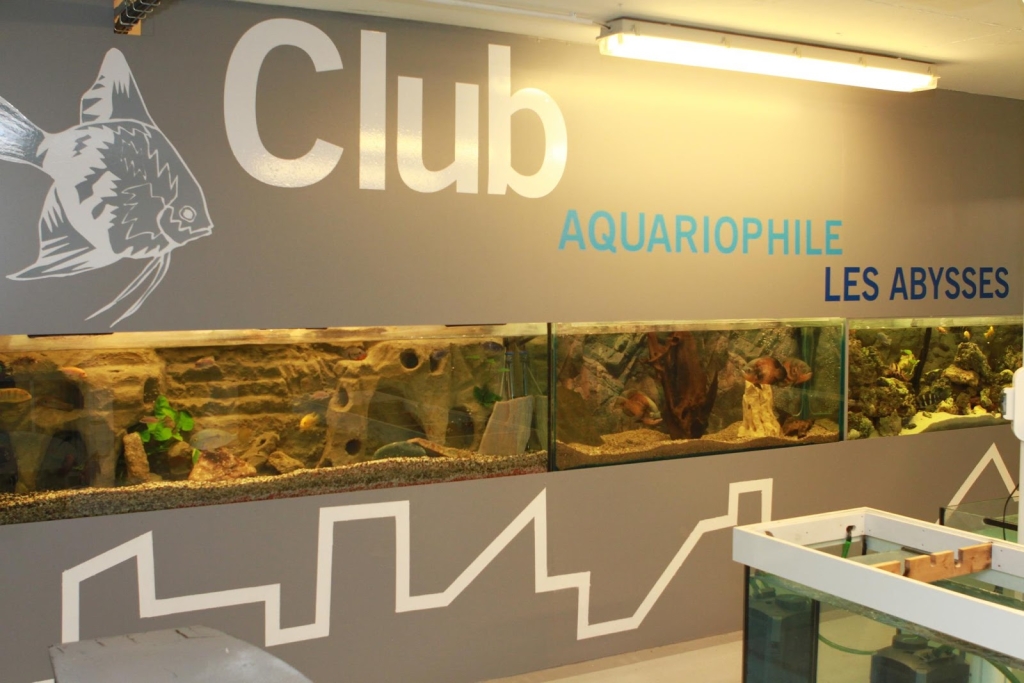 Aquarium Club - The Abysses