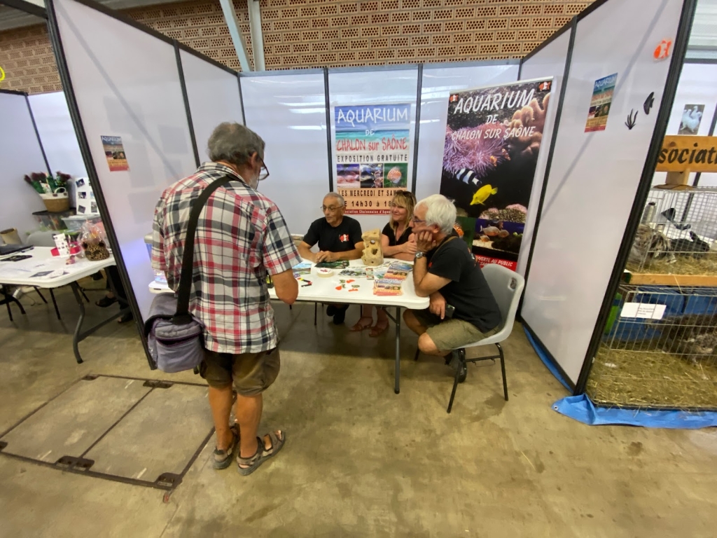 Chalon Association of Aquarists